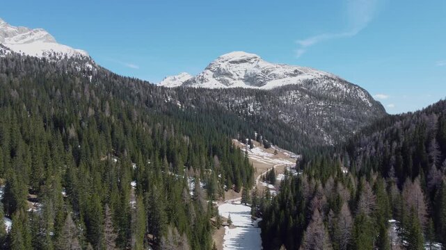 Aerial pan toward snow-capped Croda de r'Ancona above conifer forest, Sennes, Dolomites