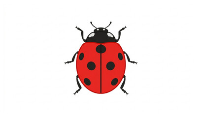 Cute ladybug flat vector illustration isolated insect nature design © Mousumi
