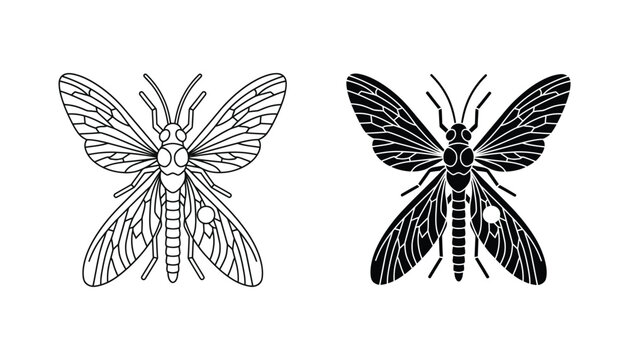 Detailed insect or cicada vector illustration showing delicate wing patterns in both line art and solid black silhouette styles for nature and entomology research graphics