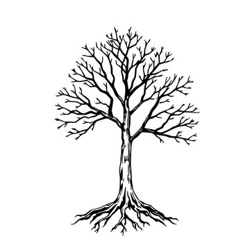 Tree set with continuous line art drawing featuring black and white, minimal, single stroke with digital vector and illustration