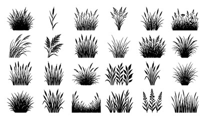 Minimal black meadow grass silhouettes vector collection isolated on white © MdRabbi