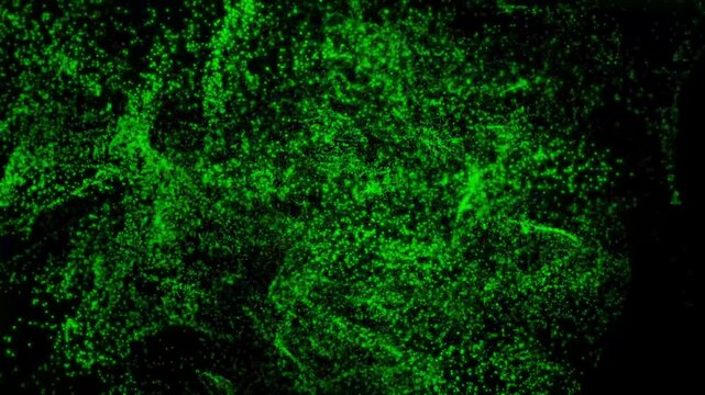 Green fluorescent microscopic view of a biological structure science