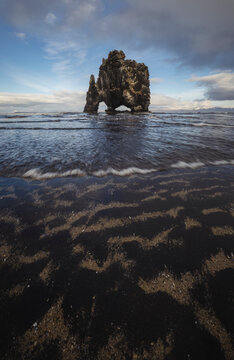 Hvitserkur sea stack in winter, snowy Iceland coast