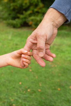 Granddaughter holding grandfather finger in park closeup