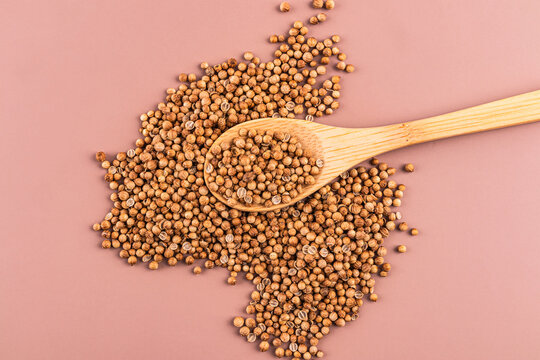 Coriander seed in wooden spoon on pastel background