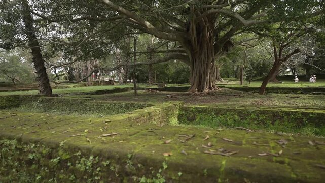 View of Polonnaruwa Archeological Ruins near Dambulla, Matale District, Sri Lanka, Asia