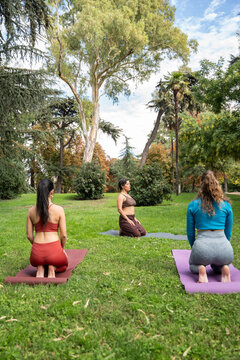 Multiethnic women practicing yoga on mats in a park
