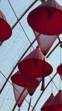 Hanging Chinese New Year Lanterns
