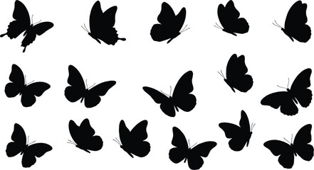 Black butterfly silhouettes on white background, flying insects butterflies © Aysha