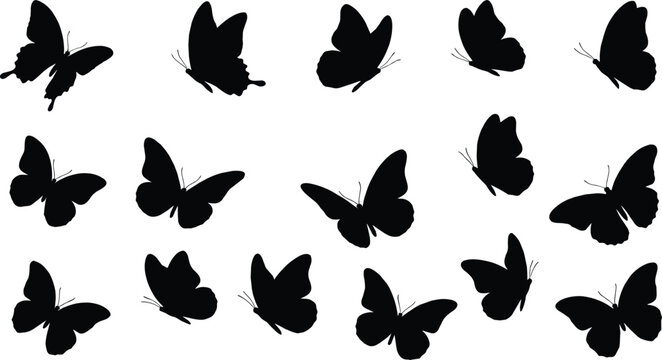 Black butterfly silhouettes on white background, flying insects butterflies