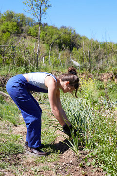 Woman gardening in rural nature for sustainable living
