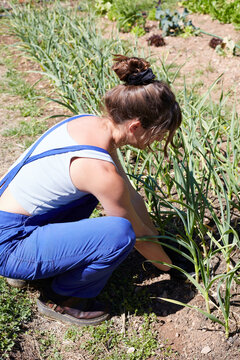 Woman tending vegetable rows in rural sustainable garden