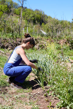 Woman gardening in rural nature with sustainable practice