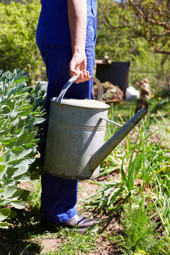 Woman watering rural garden for sustainable living