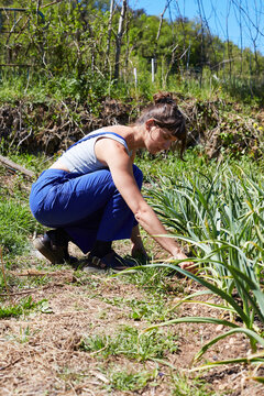 Woman gardening in rural nature with sustainable practice