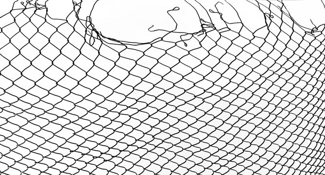 Wire fence or metal net on sunset background. isolated on white backdrop. hole in net. Wire mesh fence, Rabitz net. illustration.