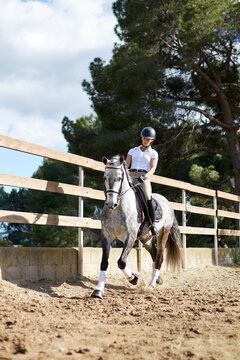 Woman riding horse in sunny outdoor arena