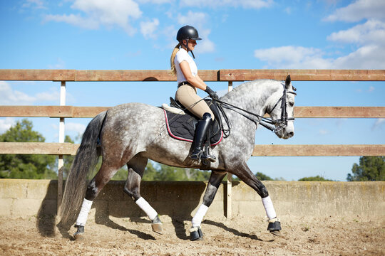 Equestrian sport with woman riding a horse