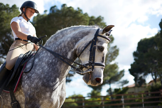 Woman riding a horse in an outdoor equestrian setting