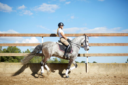 Woman riding horse in equestrian sport