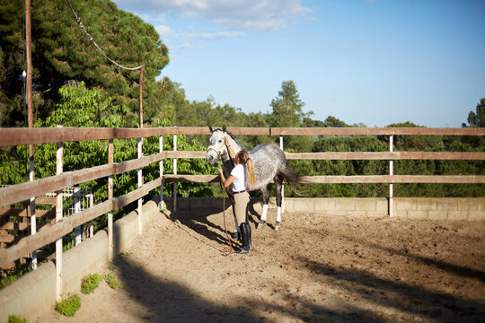 Woman preparing her horse in equestrian arena