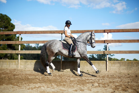 Equestrian sport with woman riding a horse in arena