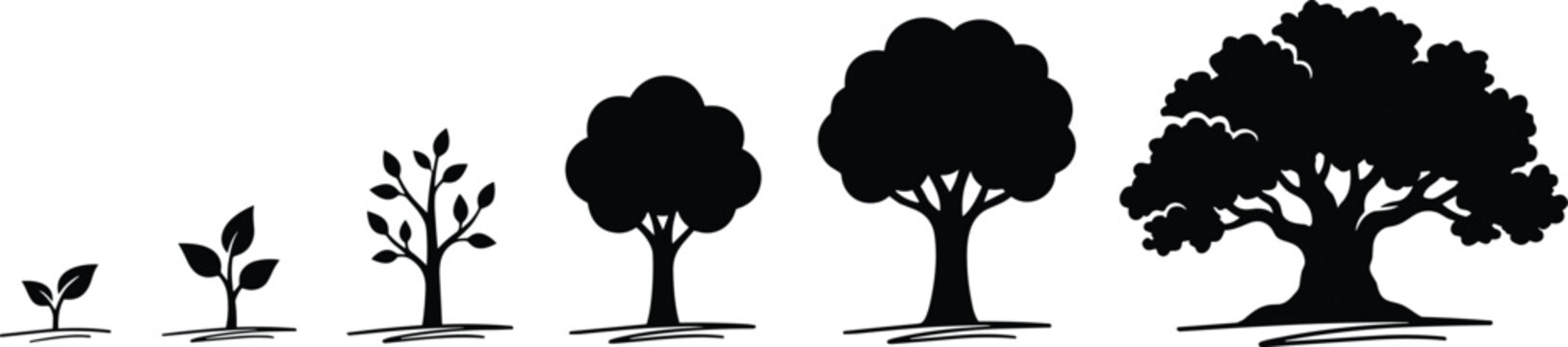 Black silhouettes of trees in different growth stages on white background