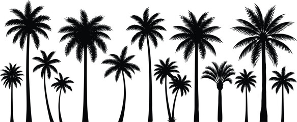 Fototapeta premium Black silhouettes of palm trees on white background, tropical