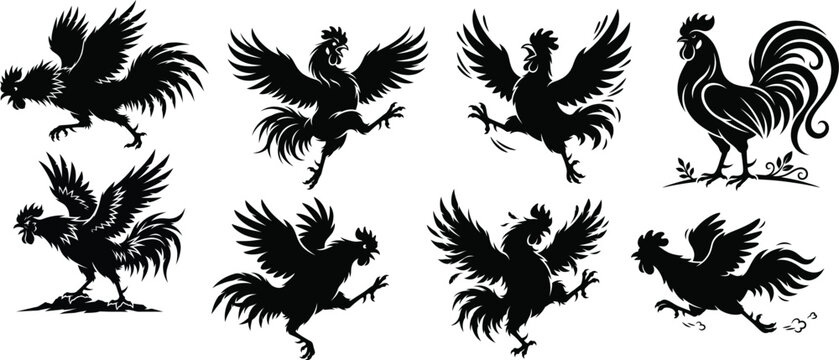 rooster silhouettes collection black graphic design on white background