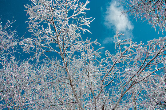 Eau Claire, WI