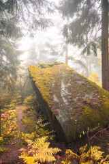 Fototapeta premium An overturned bunker sits amidst colorful autumn foliage in the Orlicke Mountains of Czechia. Soft mist surrounds the scene, enhancing the tranquil atmosphere of the forest.