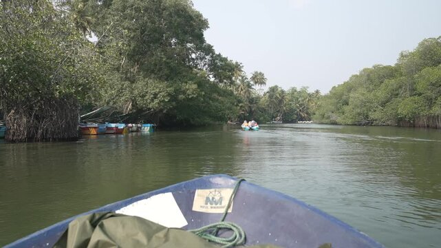 On board boat view of tourists on river safari, Madu River, Balapitiya, Sri Lanka, Asia