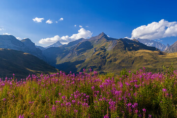 Fototapeta premium Landscape near Col du Petit-Saint-Bernard with Mont Blanc, on border France and Italy