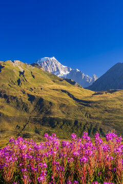 Landscape near Col du Petit-Saint-Bernard with Mont Blanc, on border France and Italy