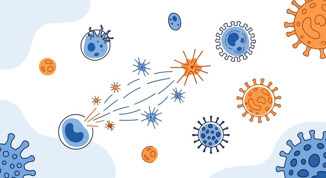 Immune cell attacking virus particles, illustration of immune system fighting infection