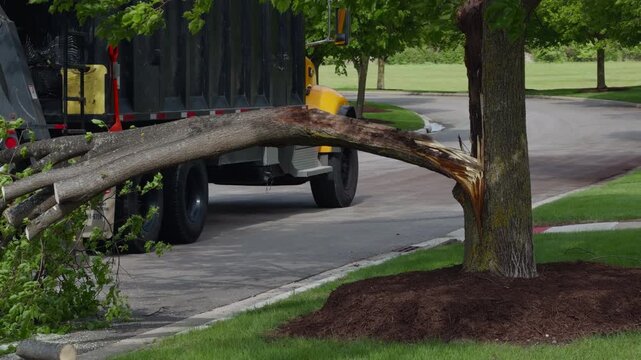 Tree service worker cutting fallen tree branch with chainsaw near utility truck during residential tree services removal operation.