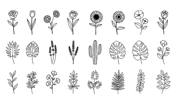 Minimalist outline flower and plant vector collection with modern botanical line illustrations
