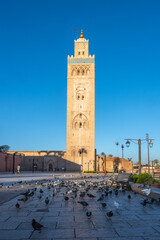 Obraz premium Kutubiyya Mosque in Marrakesh shows its tall minaret under a clear blue sky. Pigeons gather on the ground, and visitors enjoy the space around the mosque.