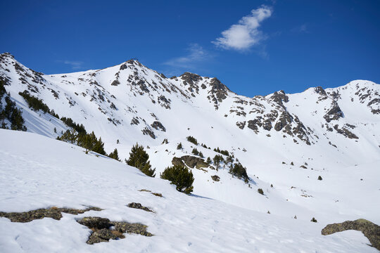 Snowy mountain ridge and pine forest in Andorra