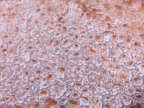 Salt flat patterns of Janubio in Lanzarote fine art