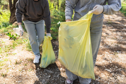 Community volunteers collecting litter during forest cleanup