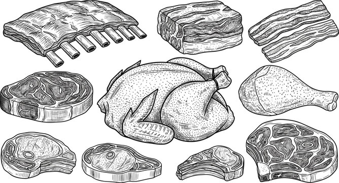 Vintage butcher shop sketch collection featuring hand drawn vector engravings of raw beef steaks pork ribs bacon whole chicken and meat cuts isolated on transparent background