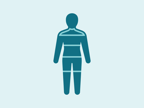 Human body proportions and measurements infographic icon, flat vector illustration of a person with horizontal lines indicating body zones