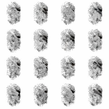 collection of twelve fingerprints on a white background