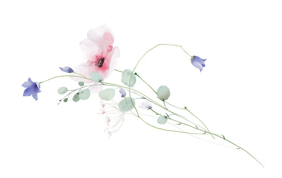Watercolor pink and blush poppy, blue bell flowers, turquoise eucalyptus branches, leaves. Floral bouquet arrangement. Hand drawn style illustration. Artistic template design.