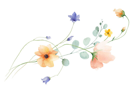 Watercolor peach orange poppy, blue bell flowers, green, turquoise eucalyptus branches, leaves. Floral bouquet arrangement. Hand drawn style illustration. Artistic template design.