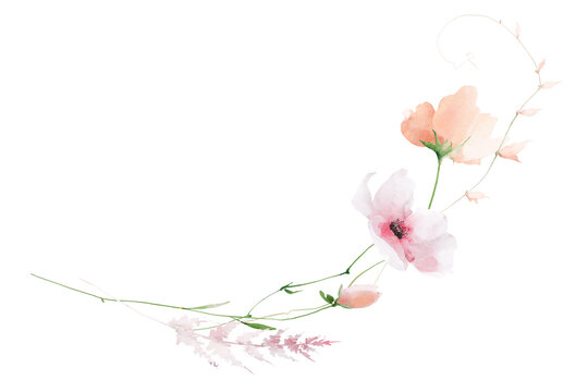 Watercolor floral semicircular border frame. Pink orange, poppy, peony, rose flowers, blush fern branches, peach leaves. Hand drawn style illustration. Artistic template design.