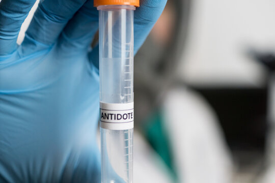 Close up view of researcher or laboratory worker hand in blue glove holding a plastic tube with transparent liquid and antidote label on it.
