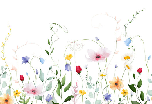 Watercolor floral greenery seamless border frame. Meadow blush poppy, red rose, orange, pink flowers, eucalyptus branches, green leaves, wild herbs. Hand drawn illustration. Artistic template design