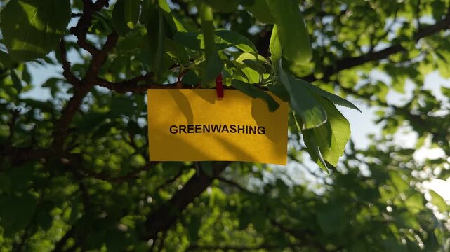 A yellow note with the word Greenwashing on it clipped to a green tree branch, representing a deceptive environmental marketing concept.